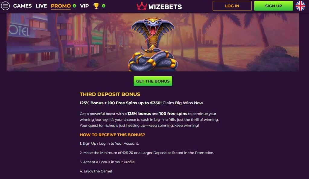 Wizebets Casino Review - 2025 6 Wizebets Casino Review - 2025