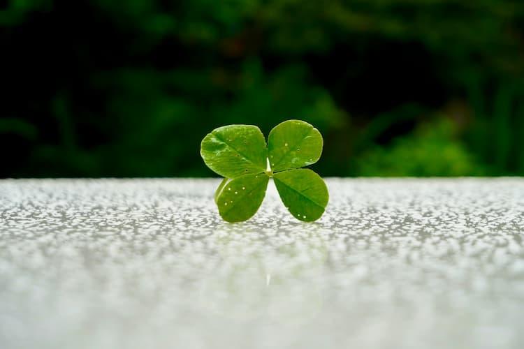 Casino Good Luck Charms Revered by Gamblers - 2025 2 Casino Good Luck Charms Revered by Gamblers - 2025