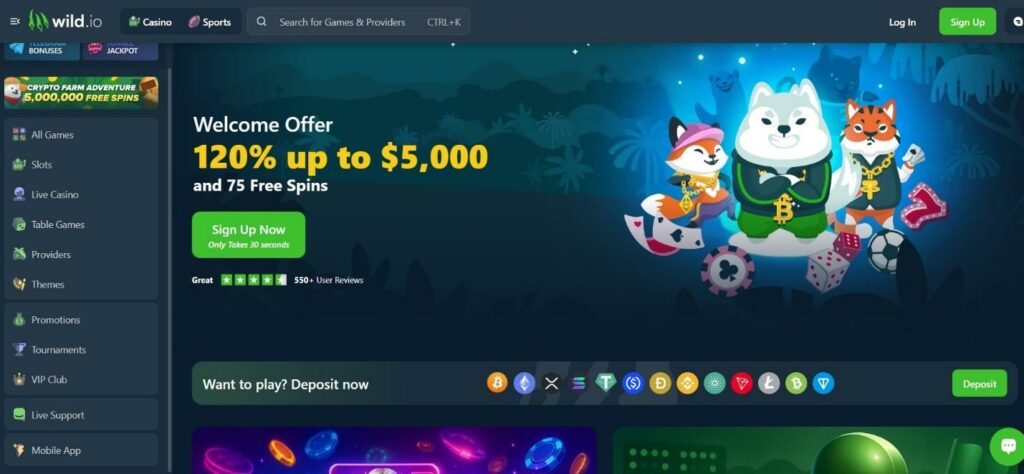 Wild.io Crypto Casino Review - 2025