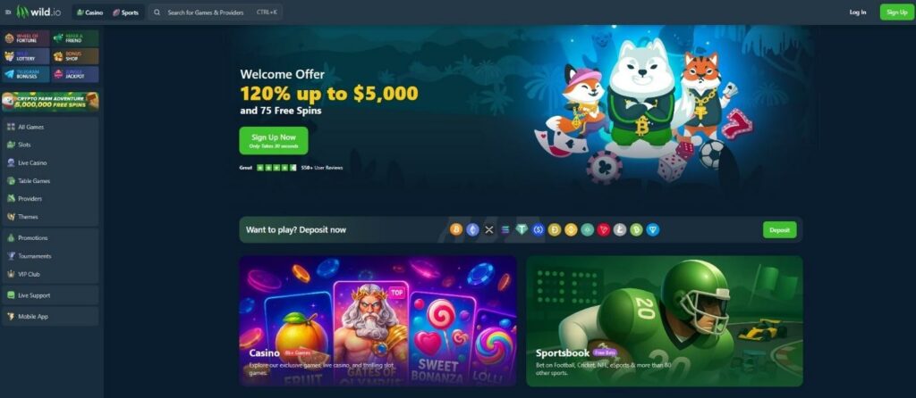 Wild.io Crypto Casino Review - 2025