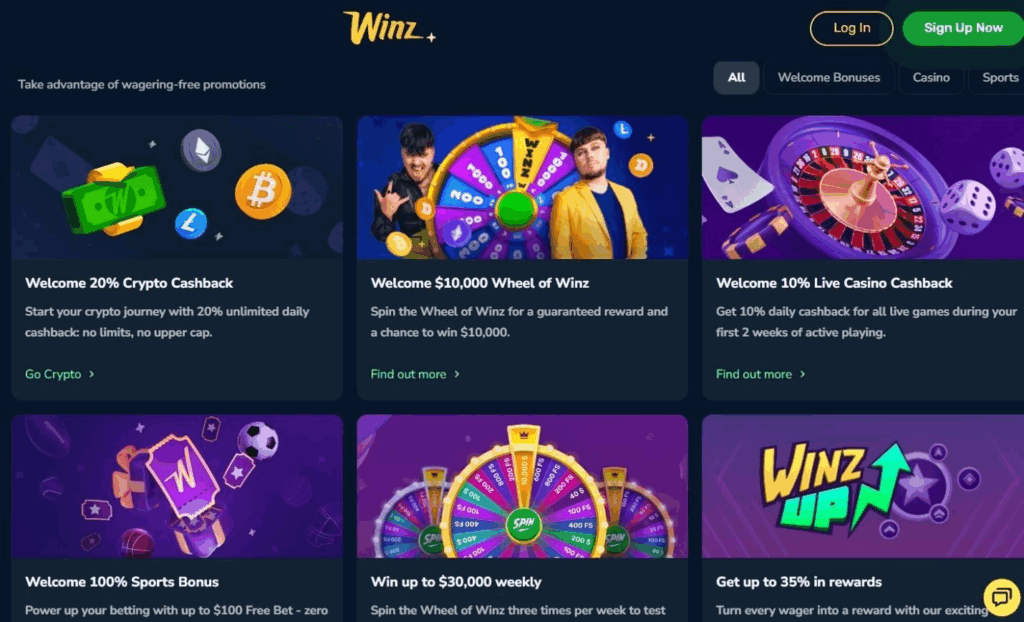 Winz.io Casino Review - 2026