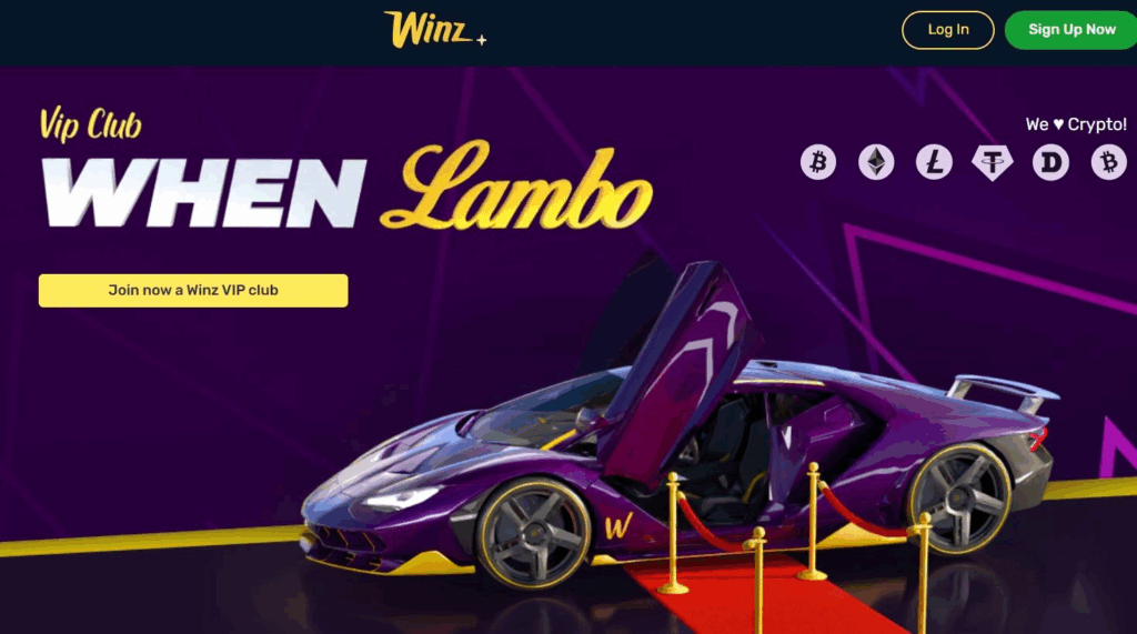 Winz.io Casino Review - 2026