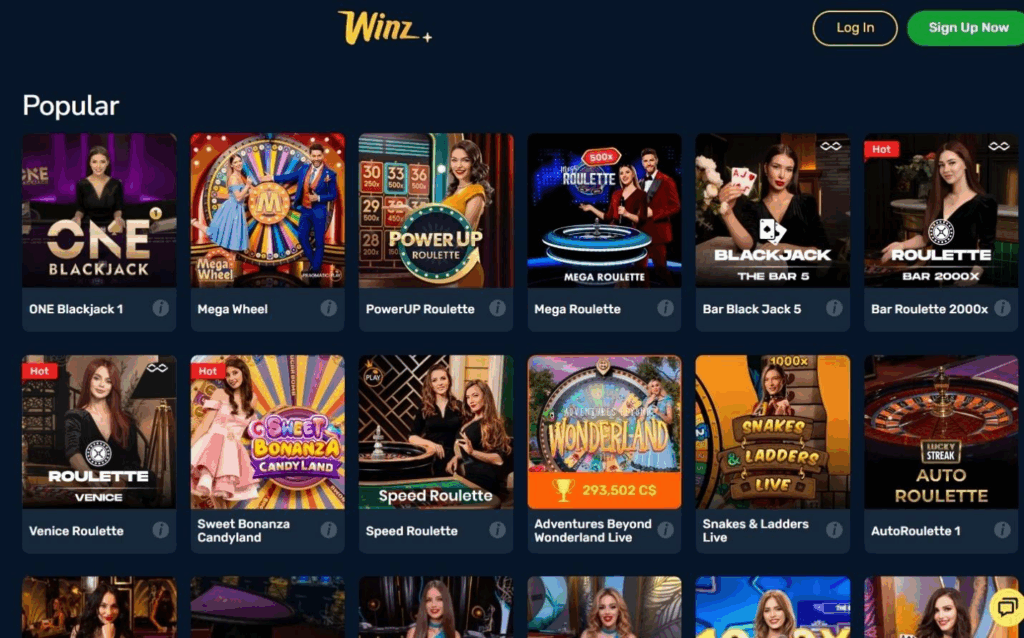 Winz.io Casino Review - 2026