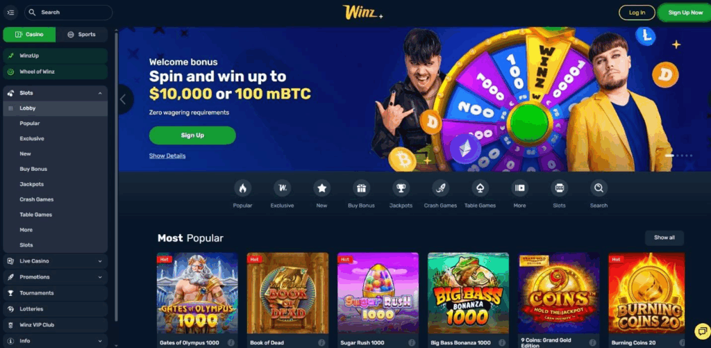 Winz.io Casino Review - 2026